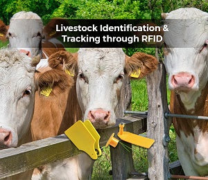 Livestock Identification & Tracking through RFID