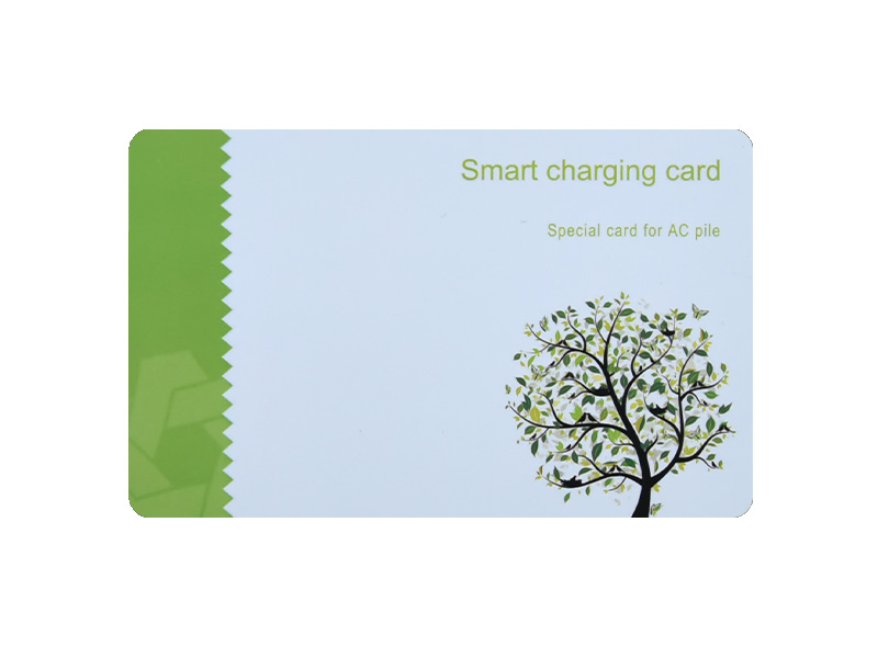 Mifare Classic 1k ev1 Fantastic PVC loyalty card