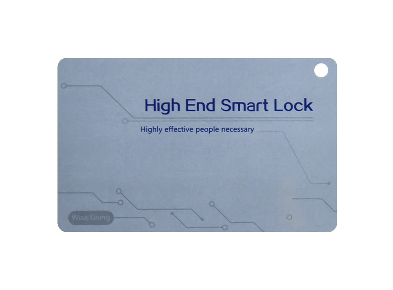 PVC loyalty cards engraved member card